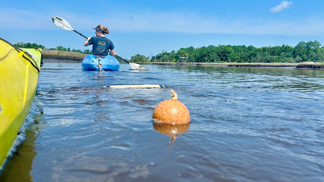 How Do We Study Marine Microplastics?