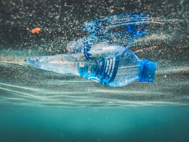 Plastics and Microplastics Are (Almost) Everywhere