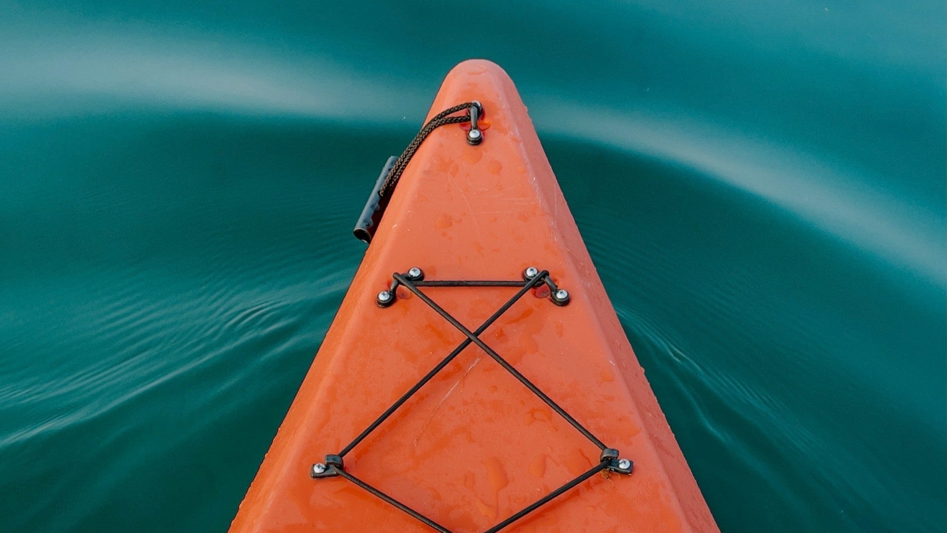 Donate to Support Microplastics Research